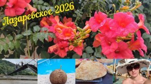 Отпуск на море🏖️ Лазаревское 2026♥️ Заселились в ГД/Море/Подвесной мост/кафе Пингвин/дни отдыхающих