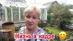 💥Ужин из кабачков 👍 / 💥Настроение - снимать , а он против😡