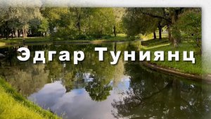 Эдгар Туниянц, ОЧАРОВАНИЕ, красивая инструментальная музыка, музыка для души