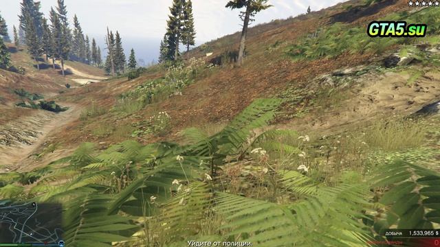 Ограбление казино Diamond GTA Online Отвезите добычу скупщику