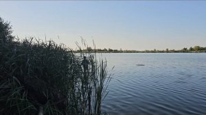 Бешеный клёв на водоёме Кудерка 330кг за 20 часов