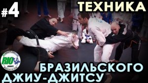 Техника Бразильского Джиу-джитсу - 5: семинар Мишеля Ван Райта.