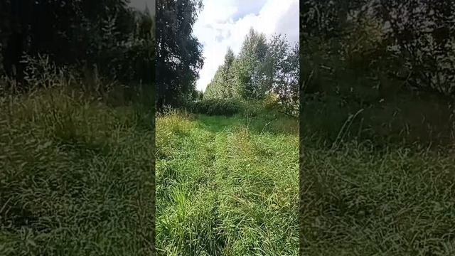По старому маршруту прогулялся👍