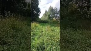 По старому маршруту прогулялся👍