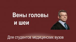 Вены головы и шеи. Лекция для студентов
