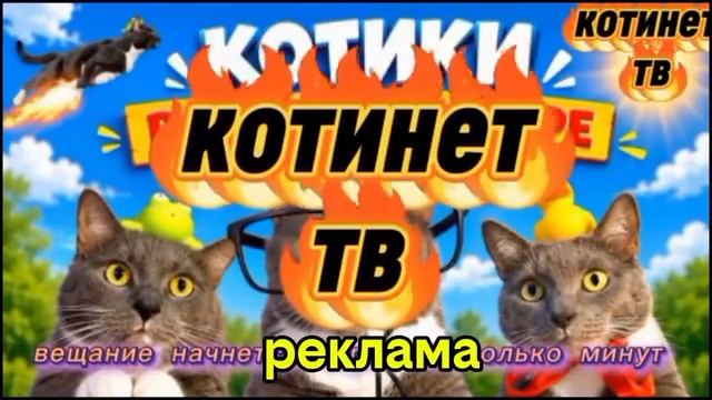 видео от TNMYP2000K