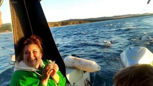 Вечерние покатухи на катере по Байкалу. Кормление чаек.