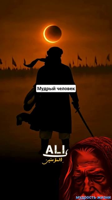 Мудрый слова мотивация