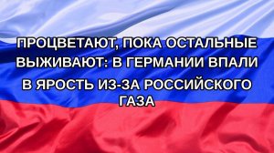 |Н. РФ| Процветают, пока остальные выживают: в Германии впали в ярость из-за российского газа