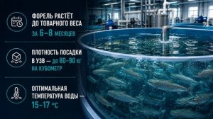 Какая рыба принесёт больше денег в УЗВ? Мой личный ТОП-5 рыб, на которых реально зарабатывают деньги