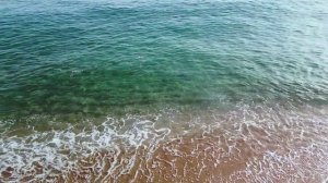 В гостях у моря