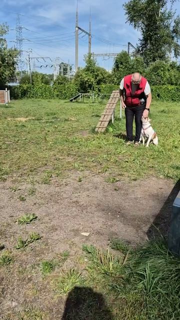 rutube.ru