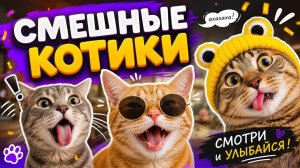 КОТЫ 2026 😂 СМЕШНЫЕ КОТИКИ ДО СЛЁЗ 🐱 ПРИКОЛЫ С КОТАМИ!