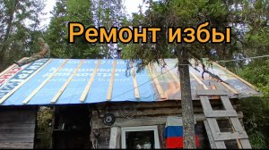 Ремонт избы в лесу. перекрыли крышу