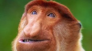 Я СТАЛ БУБУЗЬЯНОЙ
