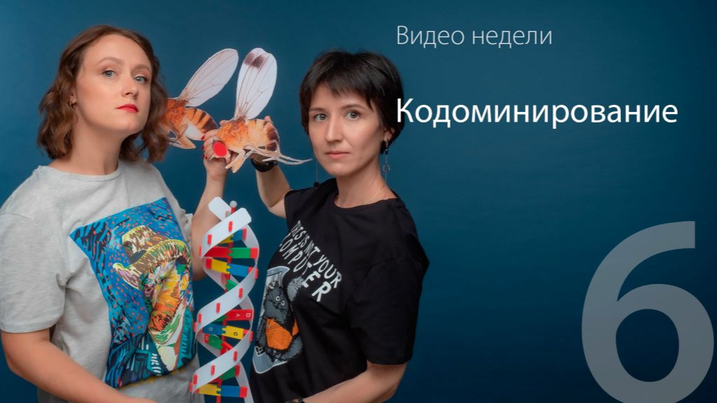 06. Кодоминирование. Генетика | ЕГЭ-2025 по биологии