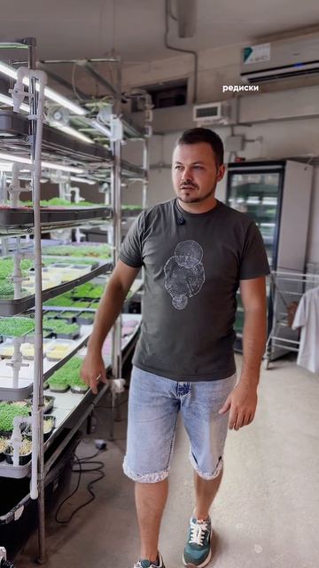 🌱 Какие семена выбрать для первого урожая?
