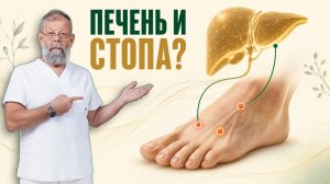Почему паразиты возвращаются
