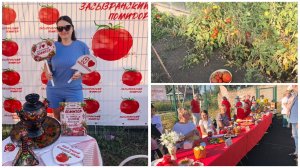 «Засызранский помидор» 🍅 | Покупки с 🚦😊 | Впечатление о Раннем😍