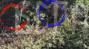 ☠️☠️☠️Бои за Уланово: уничтожение живой силы противника