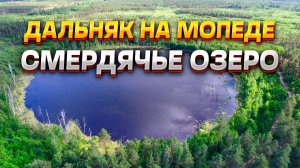 Дальняк 245км на мопеде G-Moto Cross X. Смердячье озеро