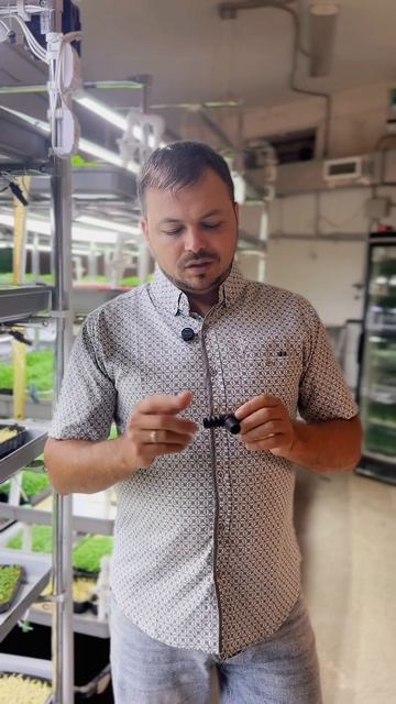Как заработать на видеообзорах в ВК? Читай описание