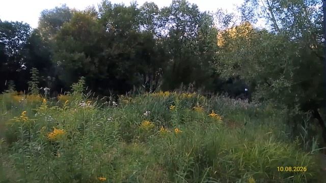 Парк «Свиблово» 10.08.2026