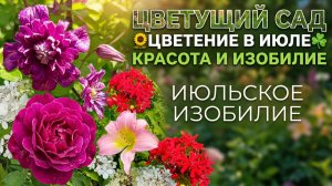 ЦВЕТУЩИЙ САД 🌻ЦВЕТЕНИЕ В ИЮЛЕ ☘️ КРАСОТА И ИЗОБИЛИЕ #gardenflowers #дача #сад #цветы