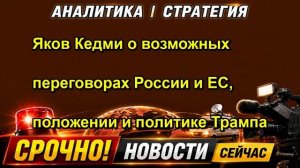 Яков Кедми о возможных переговорах России и ЕС, положении и политике Трампа