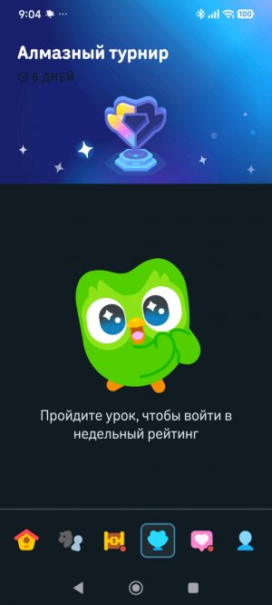 сделаем сальтуху