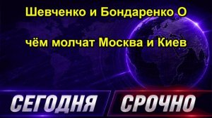 Шевченко и Бондаренко О чём молчат Москва и Киев