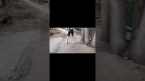 гуляли туда сюда