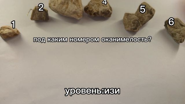 отгадай где оканимелость