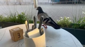 Август в Красноярске. Кондитория Ромовая Баба .Улица Ленина