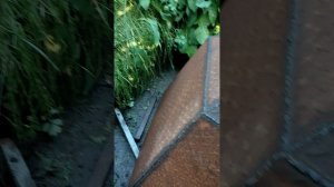 Банный чан своими руками. Часть 1.