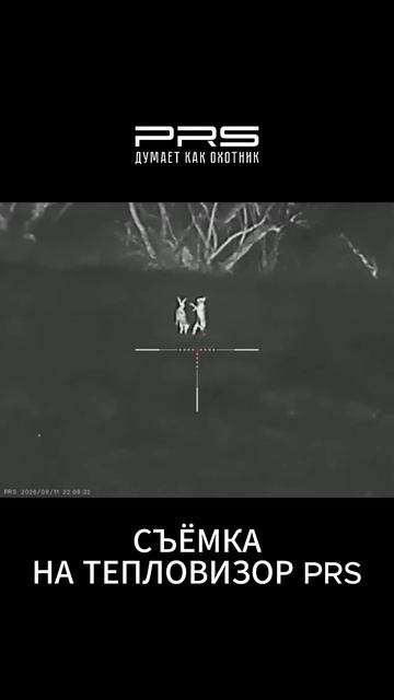 Бой зайцев через тепловизор