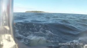 25-07.26 Клуб крейсерских яхт выборгского залива  день ВМФ. Vyborg Bay Cruising Yacht Club Navy Day