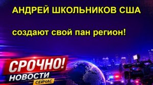 АНДРЕЙ ШКОЛЬНИКОВ США создают свой пан регион!