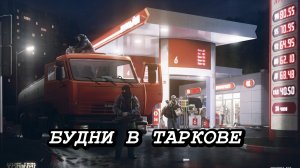 Будни Таркова 12.08.2026 год.