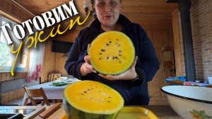 Пробуем жёлтый арбуз и новую тушенку из индейки. Готовим ужин на скорую руку
