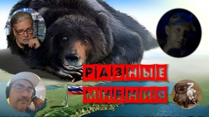 Разные точки зрения из Крыма