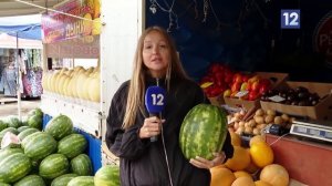 БАХЧЕВЫЕ ПРОДАЖА