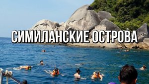 Симиланские острова, снорклинг