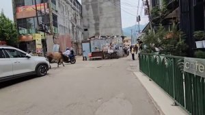 Муж уехал, осталась одна. Заказала шакшуку в Джёрман Беккери. Подарок от Кати. Шопинг лекарства.