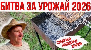 Собираем, поливаем, жарим... Битва за Урожай 2026.