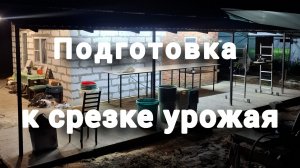 #268 Подготовили и обустроили место для обработки собранного урожая цветов.