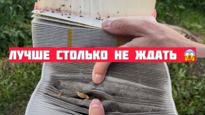 Замена фильтров Хавал М6 и убираю сколы