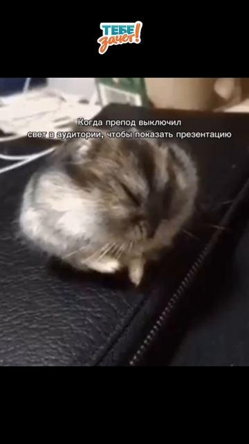 Сессия рядом? «Тебе зачёт!» поможет
закрыть учебные долги! Почта:
Zakaz@tebezachet.ru #рекомендации