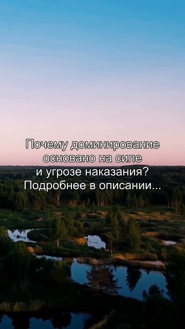 Почему доминирование
основано на силе
и угрозе наказания?
Подробнее в описании...