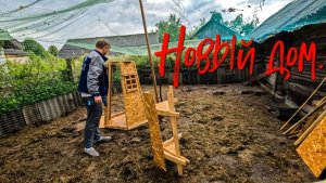 Новый дом.